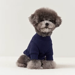 Small Stuff Logo Sweatshirt Navy New