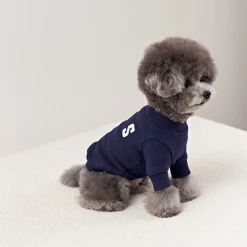 Small Stuff Logo Sweatshirt Navy New