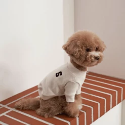 Small Stuff New Logo Sweatshirt Cream