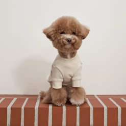 Small Stuff New Logo Sweatshirt Cream