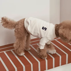 Small Stuff New Logo Sweatshirt Cream