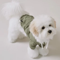 Small Stuff Hooded Anorak Khaki New