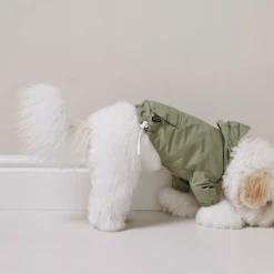 Small Stuff Hooded Anorak Khaki New