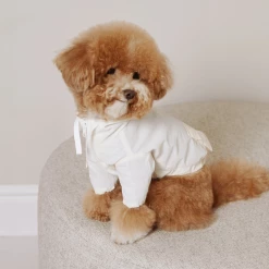 Small Stuff Hooded Anorak Butter New