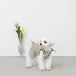 Mon Cheri New Dot Shoulder Ribbon Dress Olive