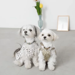 Mon Cheri New Dot Shoulder Ribbon Dress Olive