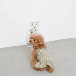 Mon Cheri New Dot Shoulder Ribbon Dress Olive