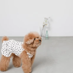 Mon Cheri New Dot Shoulder Ribbon Dress Ivory