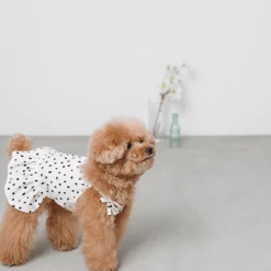 Mon Cheri New Dot Shoulder Ribbon Dress Ivory