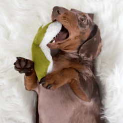 MODERNBEAST New Mint Cactus Toy