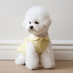 Chiot Linen Cape Top Lemon