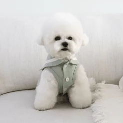 Chiot Linen Cape Top Mint