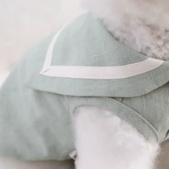 Chiot Linen Cape Top Mint