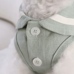 Chiot Linen Cape Top Mint