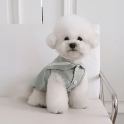 Chiot Linen Cape Top Mint