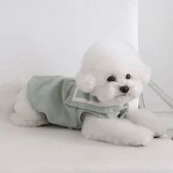 Chiot Linen Cape Top Mint