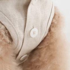 Chiot Linen Cape Top Beige New