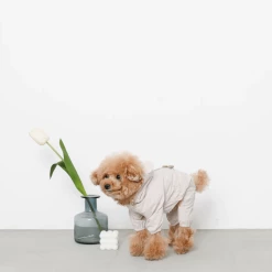 Mon Cheri Bear Dog Raincoat New