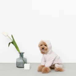 Mon Cheri Bear Dog Raincoat New