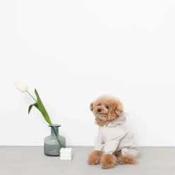 Mon Cheri Bear Dog Raincoat New