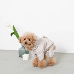Mon Cheri Bear Dog Raincoat New
