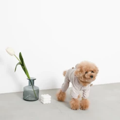 Mon Cheri Bear Dog Raincoat New