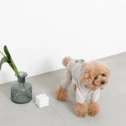 Mon Cheri Bear Dog Raincoat New