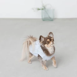 Mon Cheri New Flower Ribbon Blouse Blue