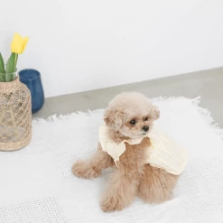 Cheap π Mon Cheri New Flower Print Ruffle π Dress π 10 Mon Cheri New Flower Print Ruffle Dress