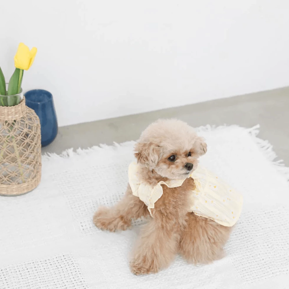 Cheap π Mon Cheri New Flower Print Ruffle π Dress π 6 Mon Cheri New Flower Print Ruffle Dress