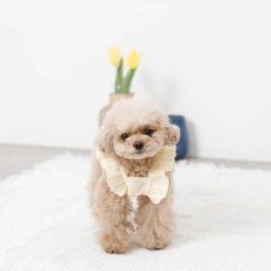 Cheap π Mon Cheri New Flower Print Ruffle π Dress π 11 Mon Cheri New Flower Print Ruffle Dress