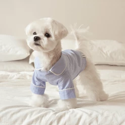 Small Stuff Cotton Sleepwear Top Light Blue New