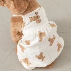 Mon Cheri New Bear Pumpkin Romper
