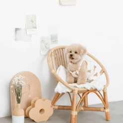 Mon Cheri New Bear Pumpkin Romper