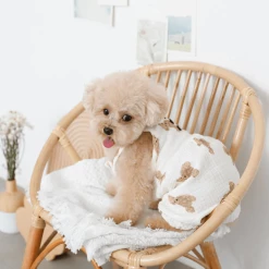 Mon Cheri New Bear Pumpkin Romper