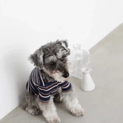 Mon Cheri Multi-Border Ribbed Pullover Navy New