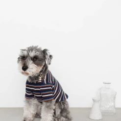 Mon Cheri Multi-Border Ribbed Pullover Navy New