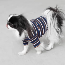 Mon Cheri Multi-Border Ribbed Pullover Navy New