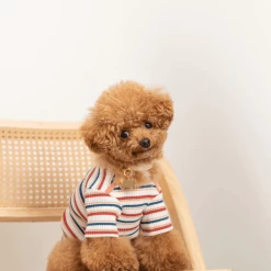 Mon Cheri Multi-Border Ribbed Pullover Peach