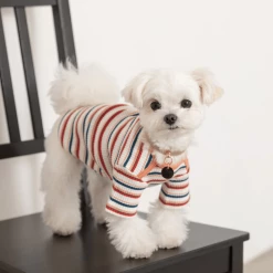 Mon Cheri Multi-Border Ribbed Pullover Peach