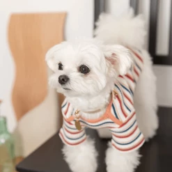 Mon Cheri Multi-Border Ribbed Pullover Peach