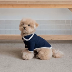 Monoment Point Knit Cardigan Navy New