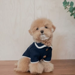 Monoment Point Knit Cardigan Navy New