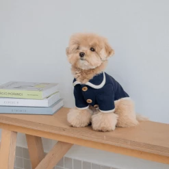 Monoment Point Knit Cardigan Navy New