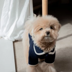 Monoment Point Knit Cardigan Navy New