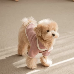 Monoment New Point Knit Cardigan Pink