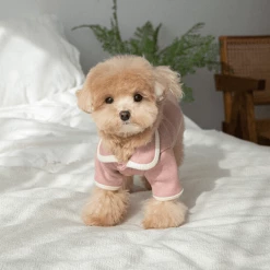 Monoment New Point Knit Cardigan Pink