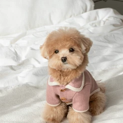 Monoment New Point Knit Cardigan Pink