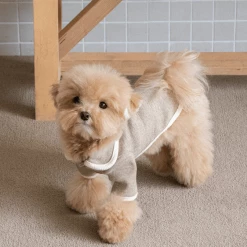 Monoment New Point Knit Cardigan Beige