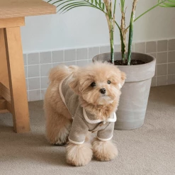 Monoment New Point Knit Cardigan Beige